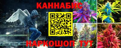 бошки Бийск