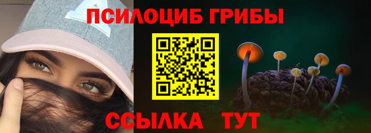 Галлюциногенные грибы Psilocybe  Вход с VPN  Казань 
