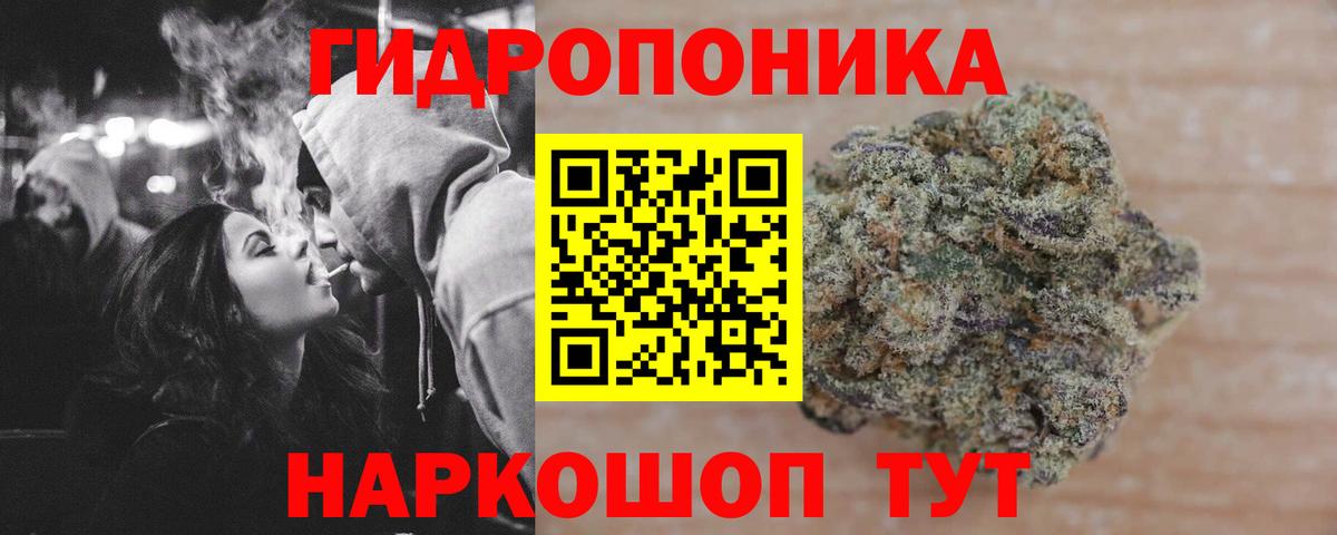Марихуана семена  Каннабис Bruce Banner  Казань  Бошки Шишки индика  Вход с VPN 
